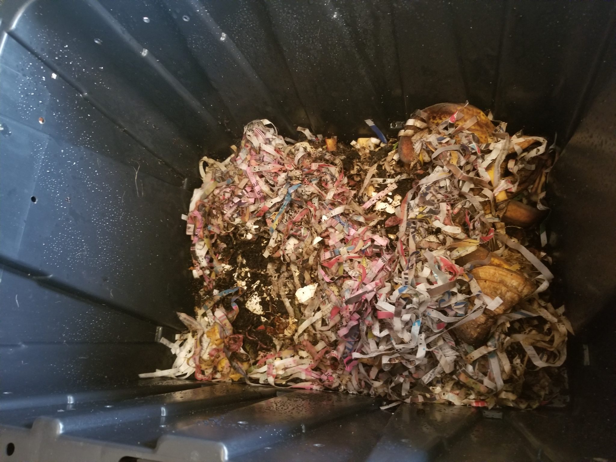 Worms eating garbage Hellmaggot the Undead